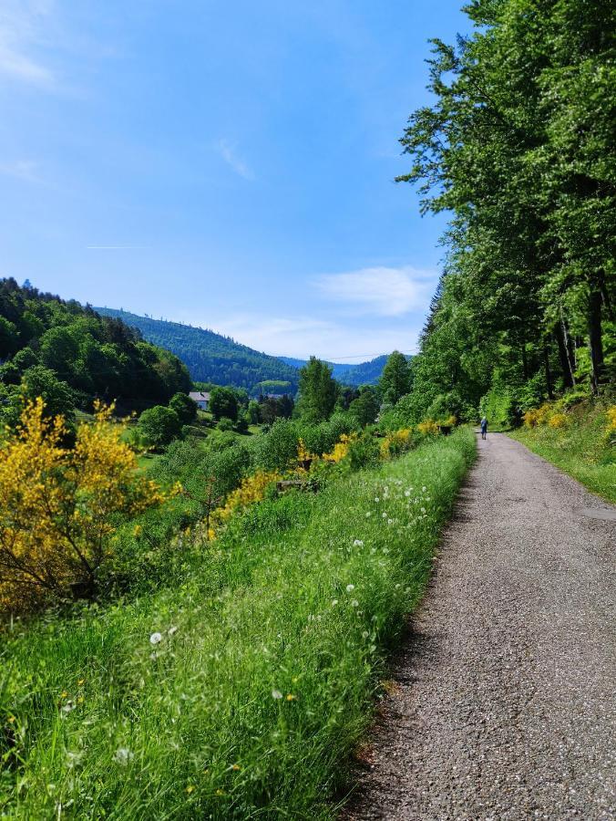 Fewo Albtaleck - Wohnen Im Kurort วัลด์บรอนน์ ภายนอก รูปภาพ