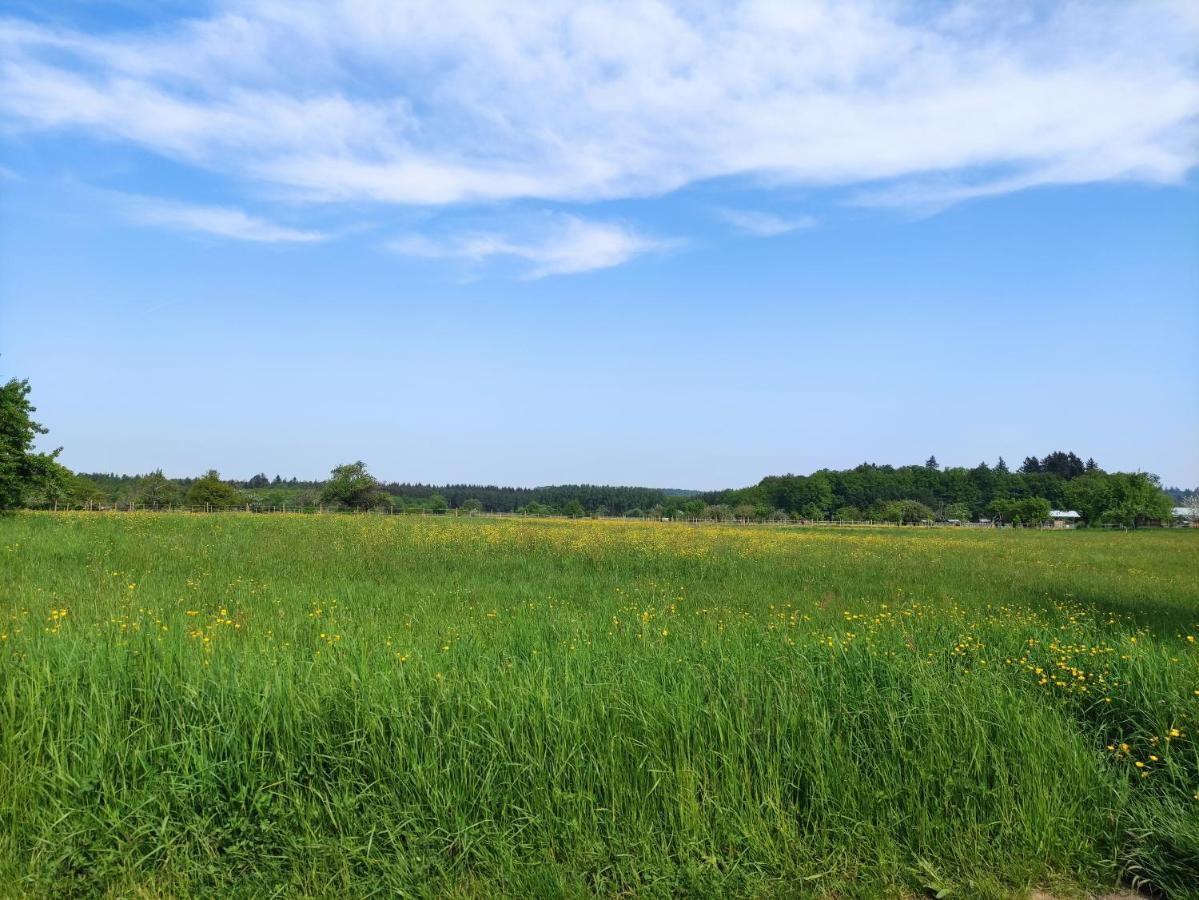 Fewo Albtaleck - Wohnen Im Kurort วัลด์บรอนน์ ภายนอก รูปภาพ